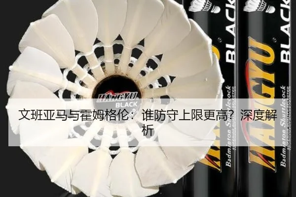 文班亚马与霍姆格伦：谁防守上限更高？深度解析