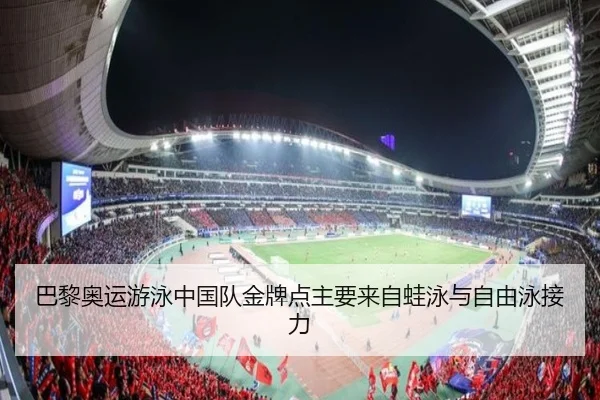 巴黎奥运游泳中国队金牌点主要来自蛙泳与自由泳接力